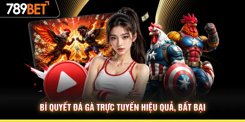 Bí quyết đá gà trực tuyến hiệu quả, bất bại