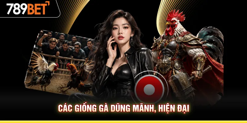 Các giống gà dũng mãnh, hiện đại