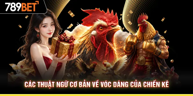 Các thuật ngữ cơ bản về vóc dáng của chiến kê