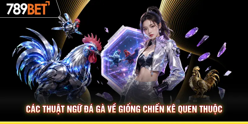 Các thuật ngữ đá gà về giống chiến kê quen thuộc