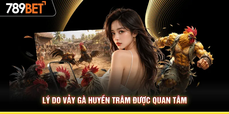 Lý do vảy gà huyền trâm được quan tâm