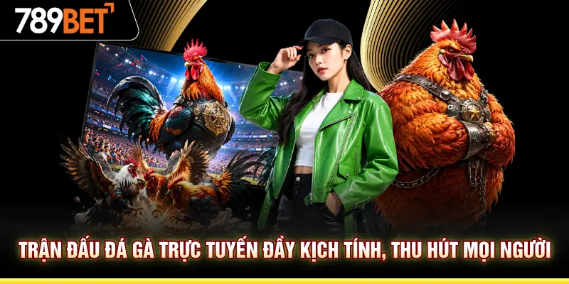 Trận đấu đá gà trực tuyến đầy kịch tính, thu hút mọi người